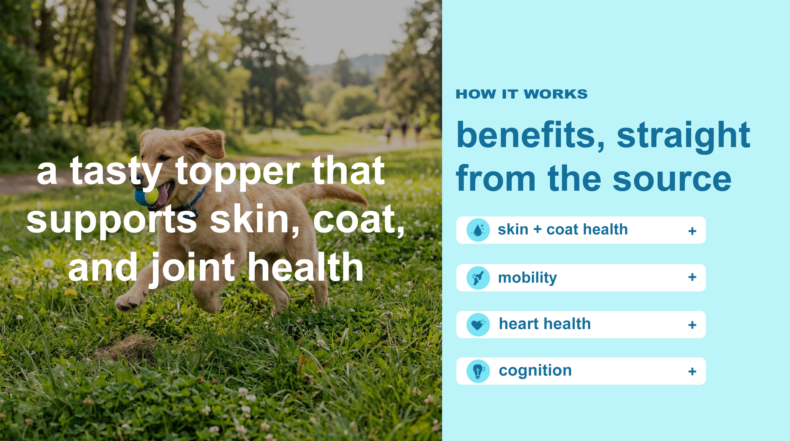 Skin Coat & Joint Dog Topper product image