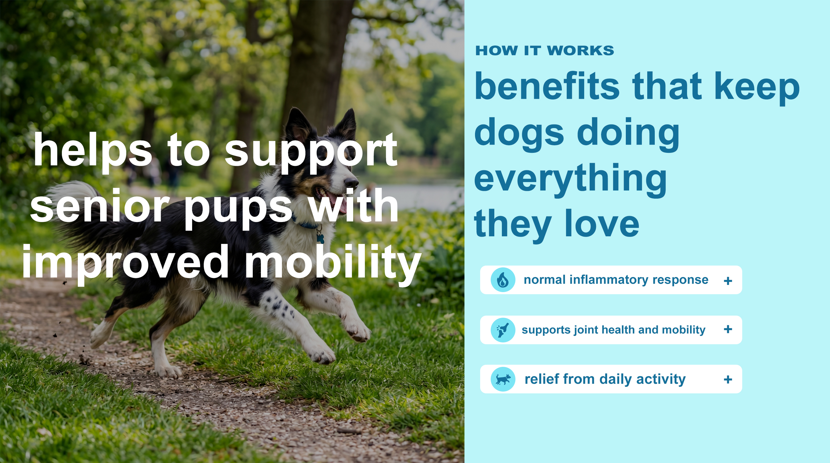Senior Dog Mobility Support product image