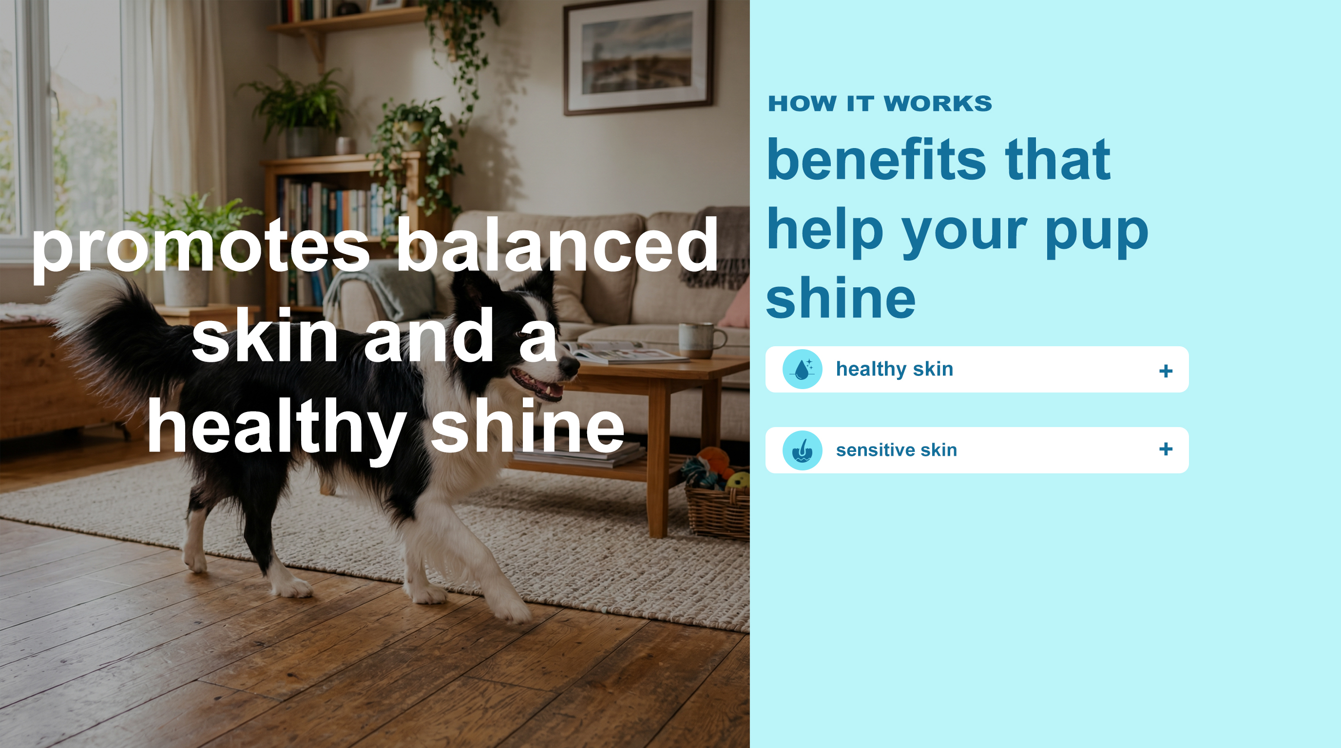Skin & Coat Shine Dog Supplement detail image 2