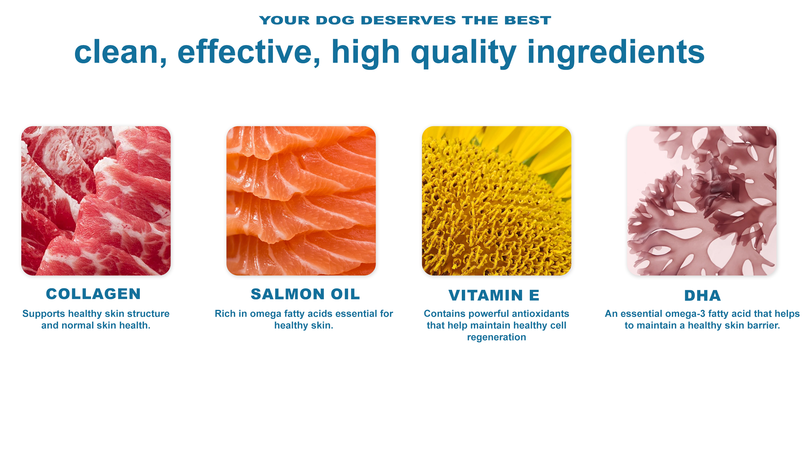 Skin & Coat Shine Dog Supplement detail image 4