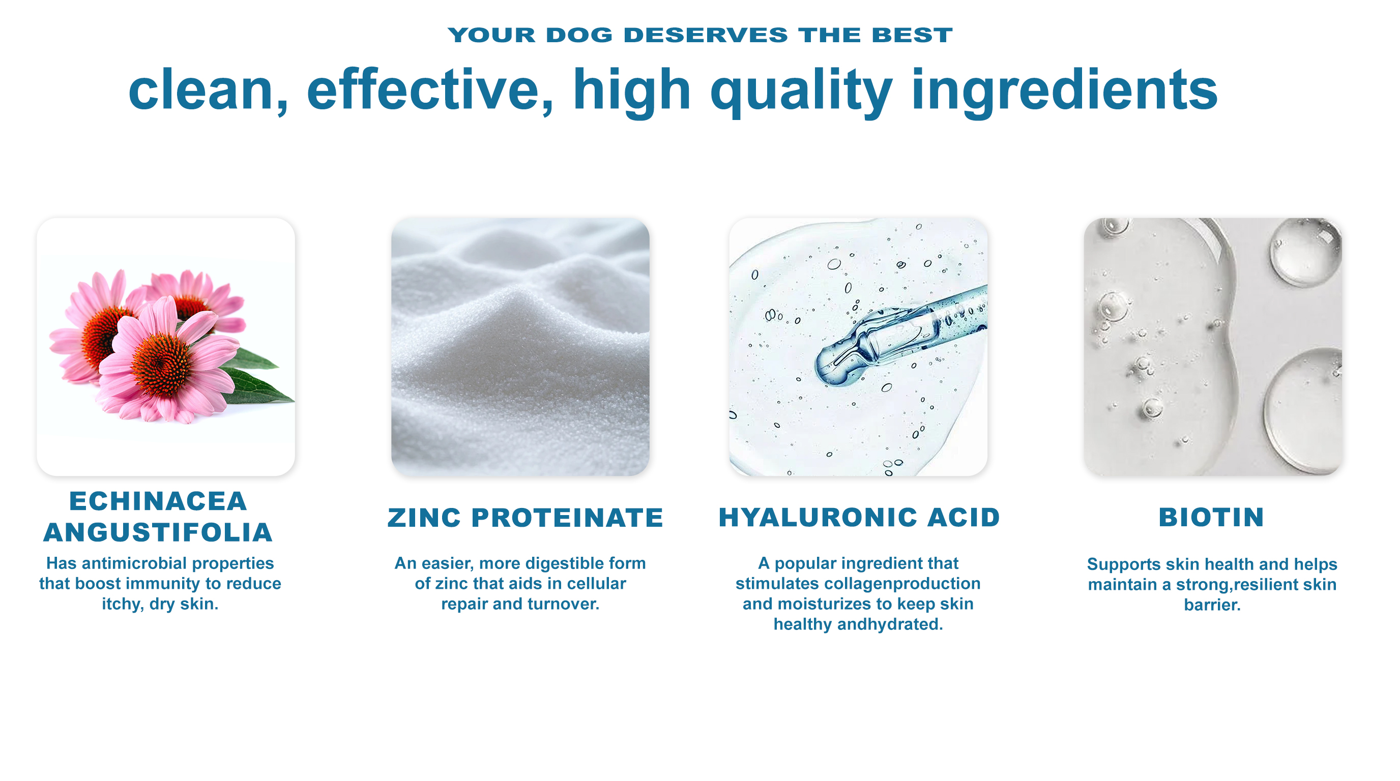 Skin & Coat Shine Dog Supplement detail image 5