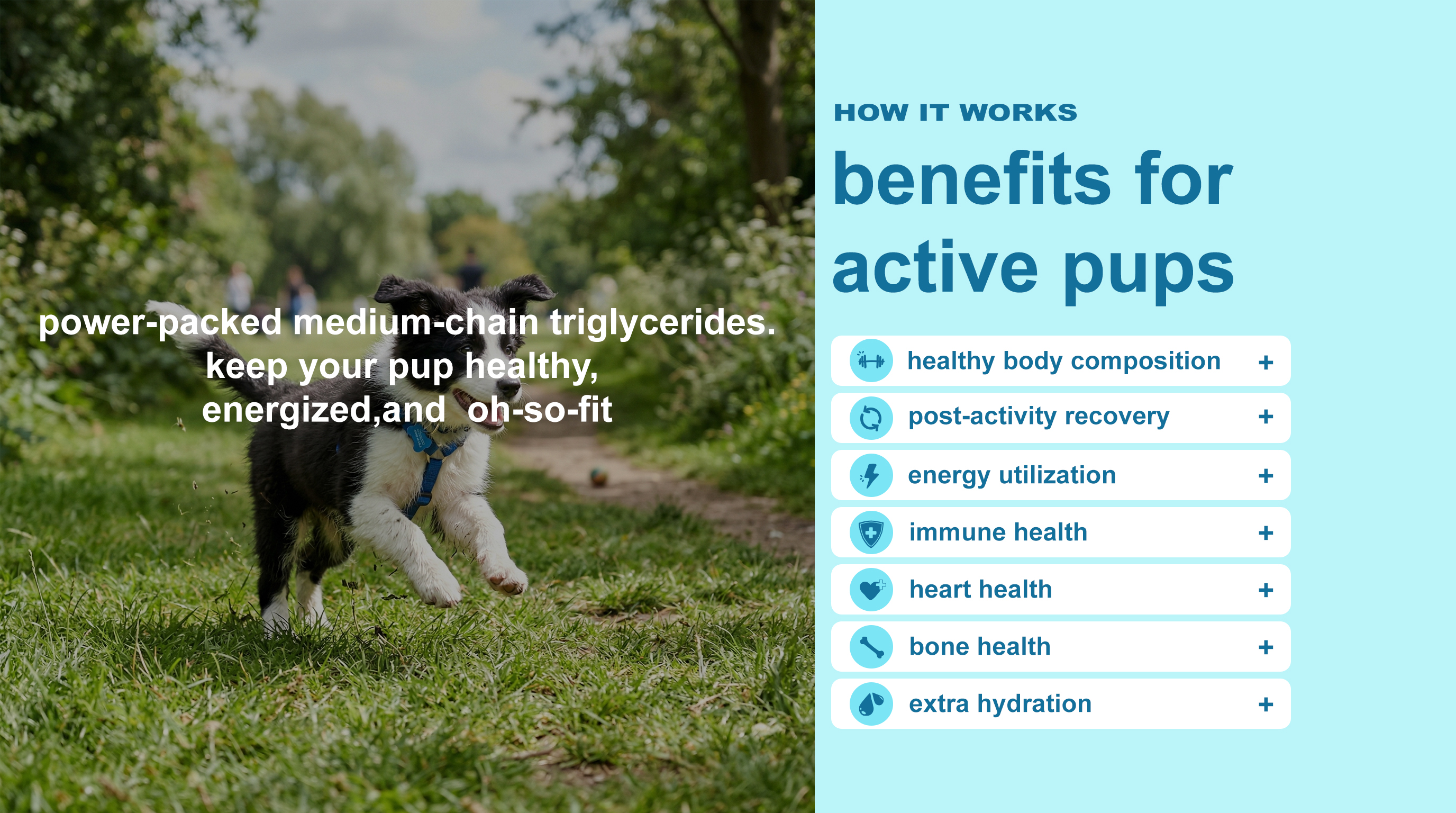Active Dog Multivitamin Support detail image 2