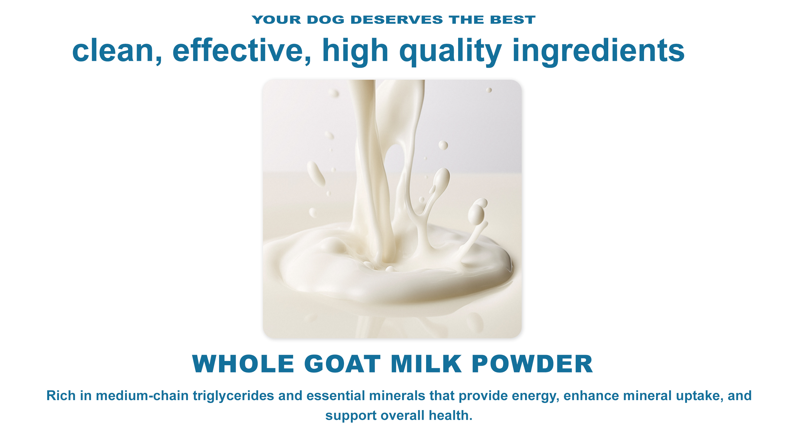 Active Dog Multivitamin Support detail image 3