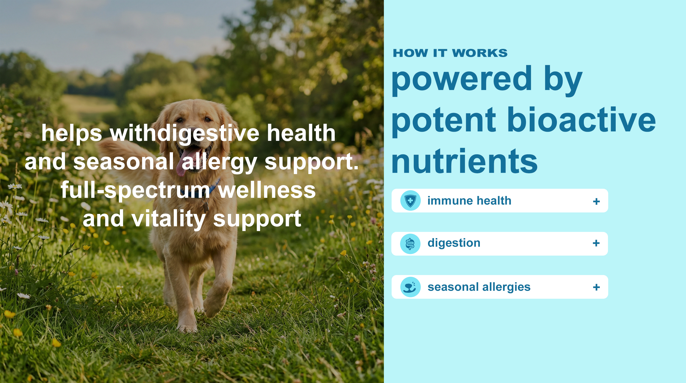 Digestive & Seasonal Allergy Dog Wellness detail image 2