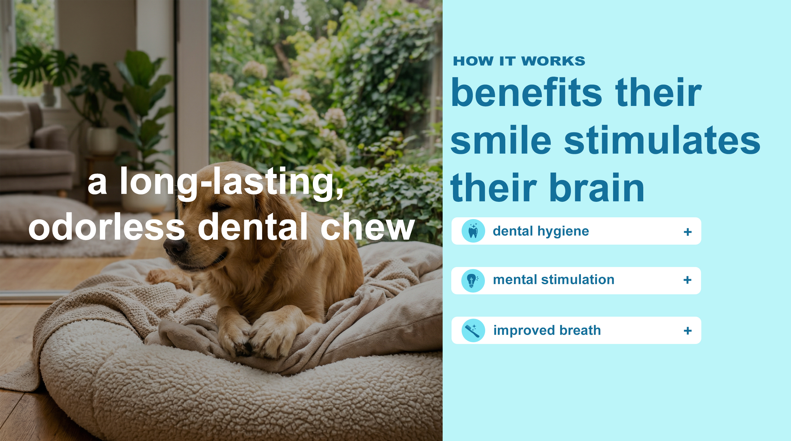 Dental Care Dog Chew Supplement detail image 2