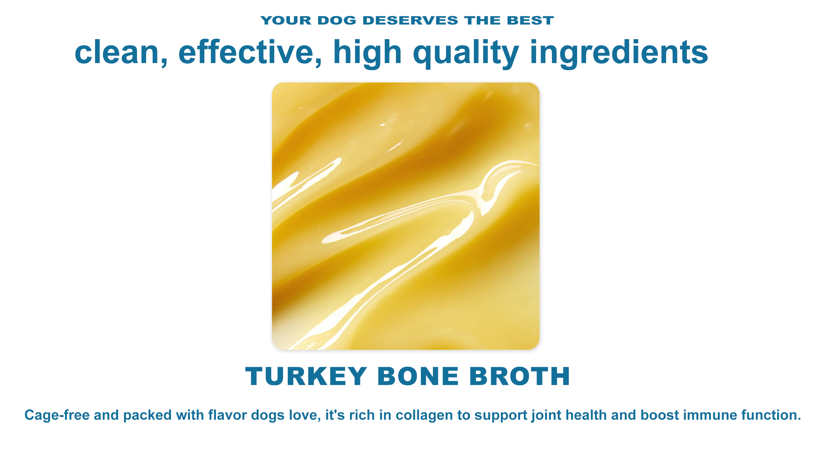 Brain & Cognitive Dog Support detail image 3