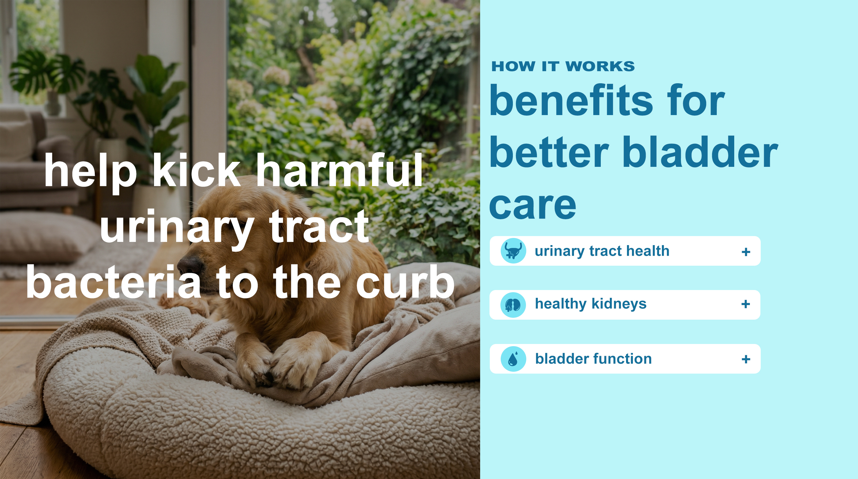 Urinary & Bladder Care for Dogs product image