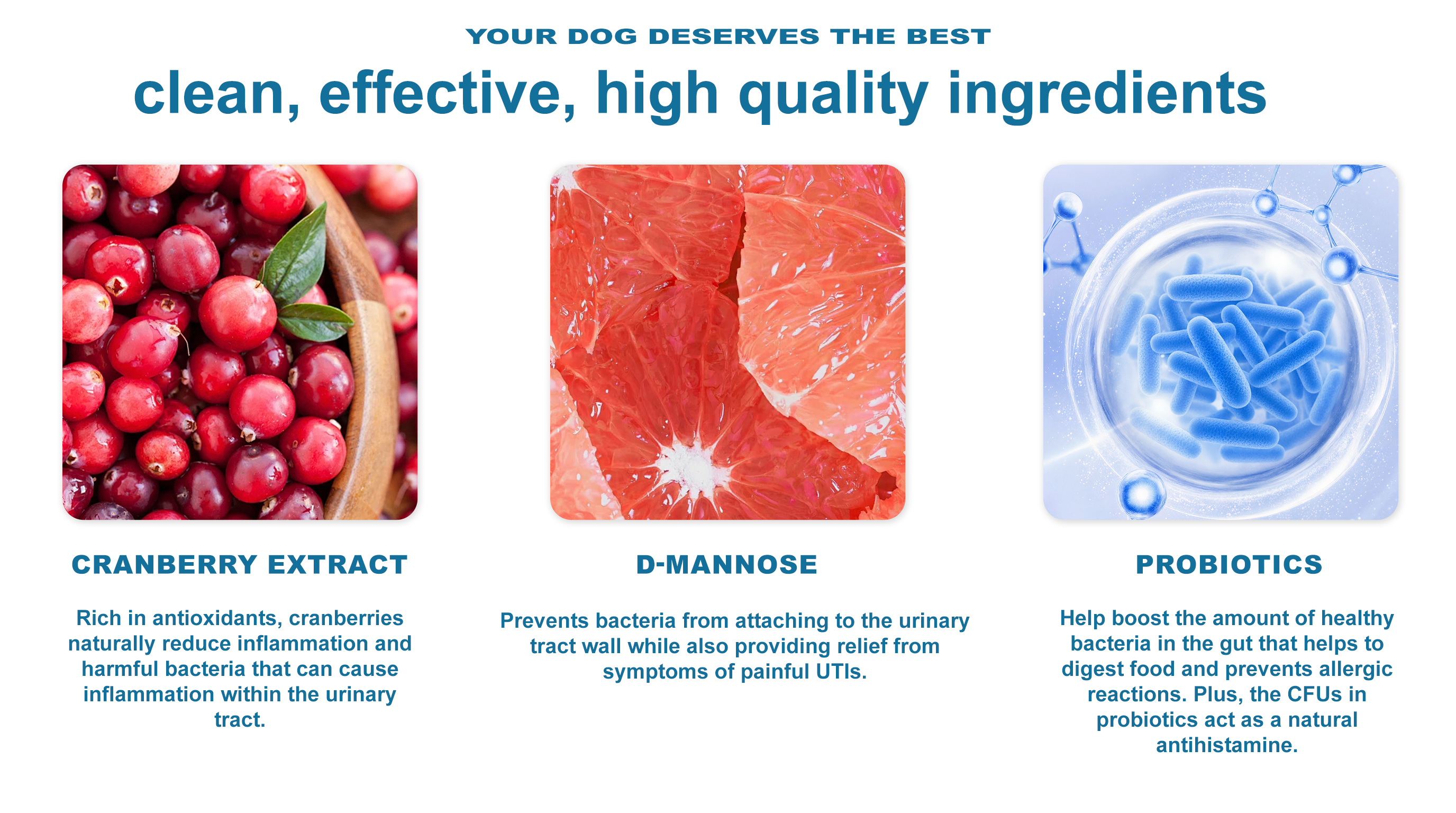 Urinary & Bladder Care for Dogs product image
