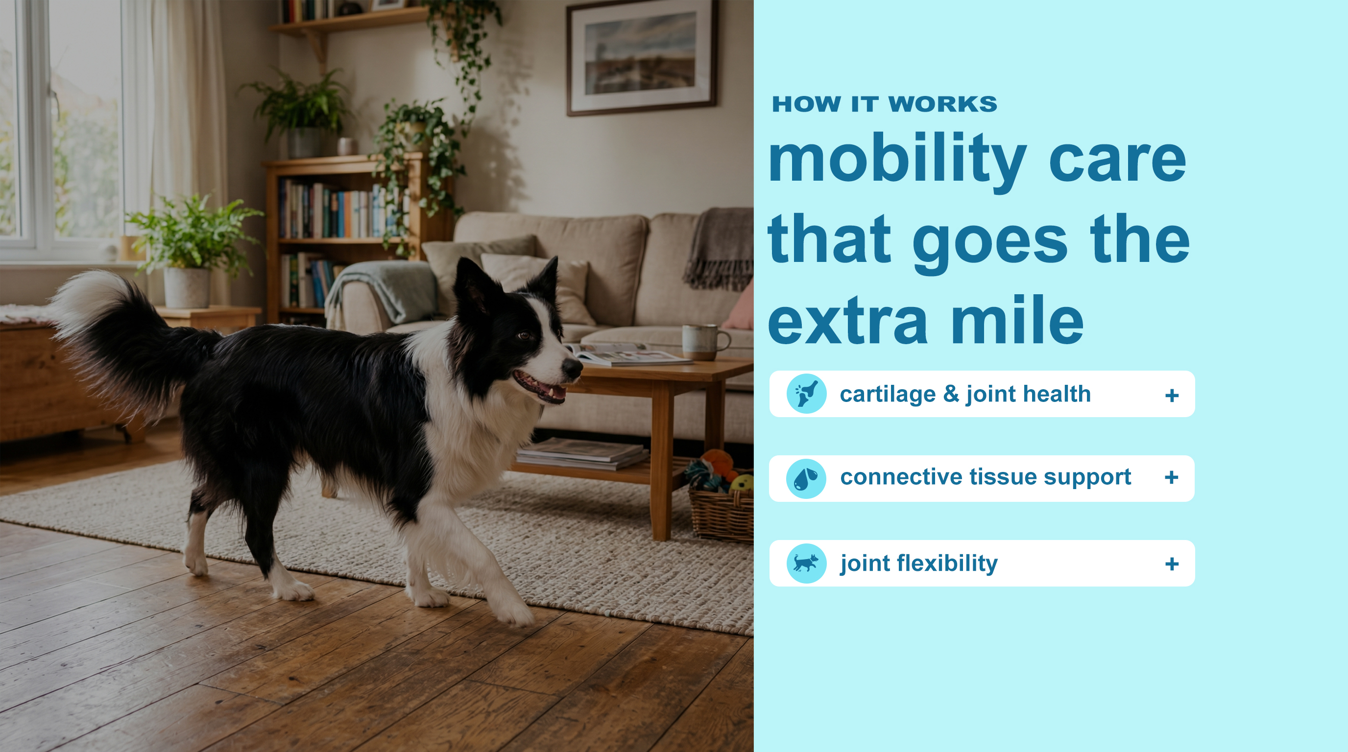 Extra-Mile Mobility Care for Dogs product image