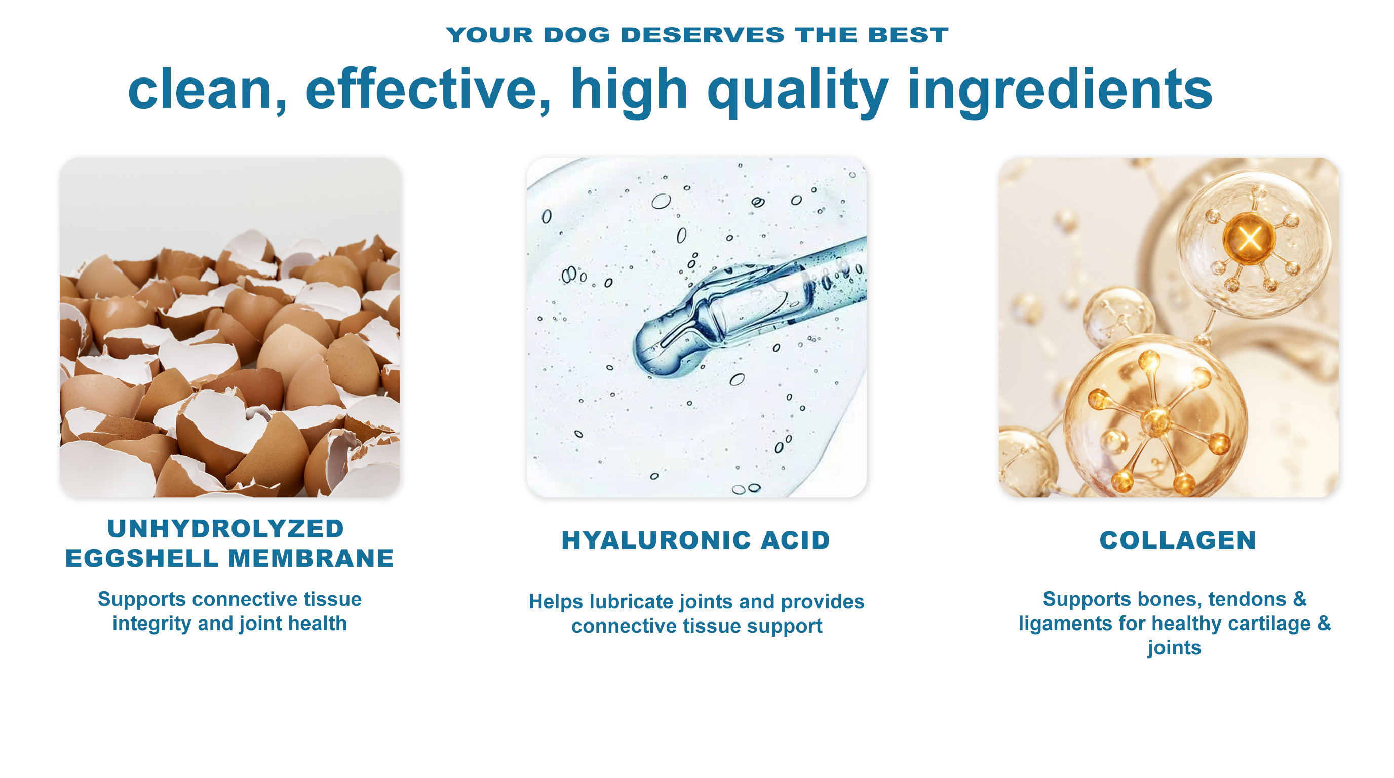 Extra-Mile Mobility Care for Dogs product image