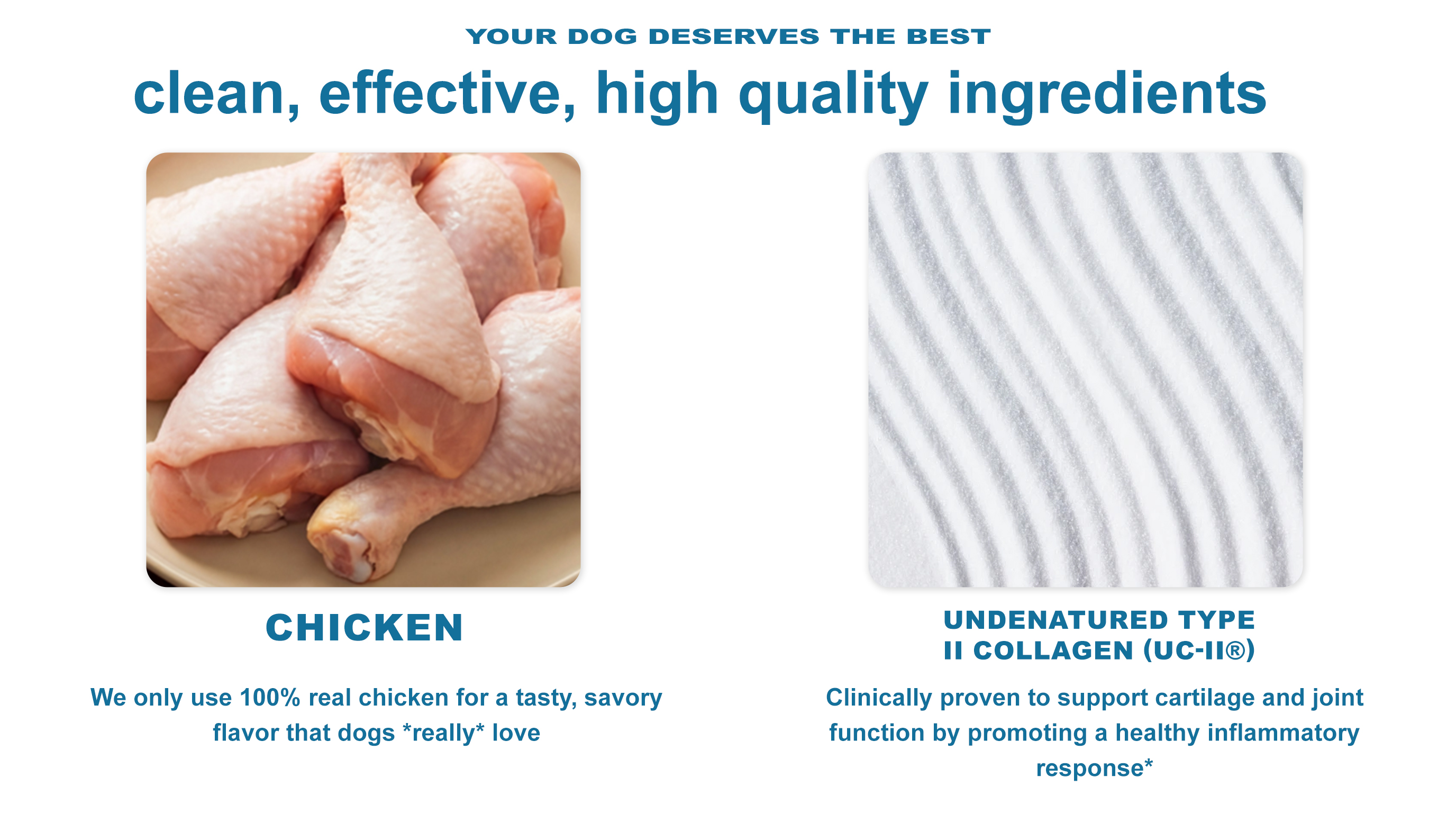 Extra-Mile Mobility Care for Dogs product image