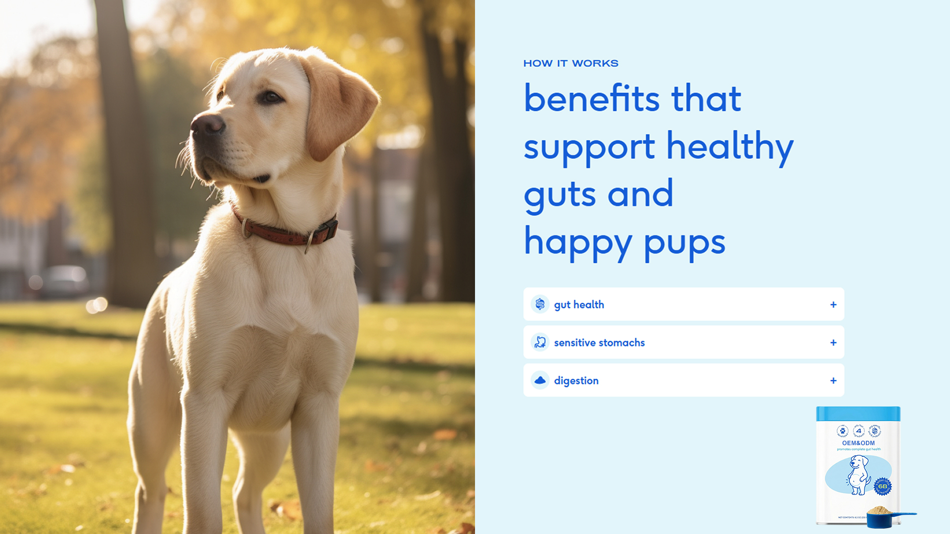 Complete Gut Health Dog Powder detail image 2