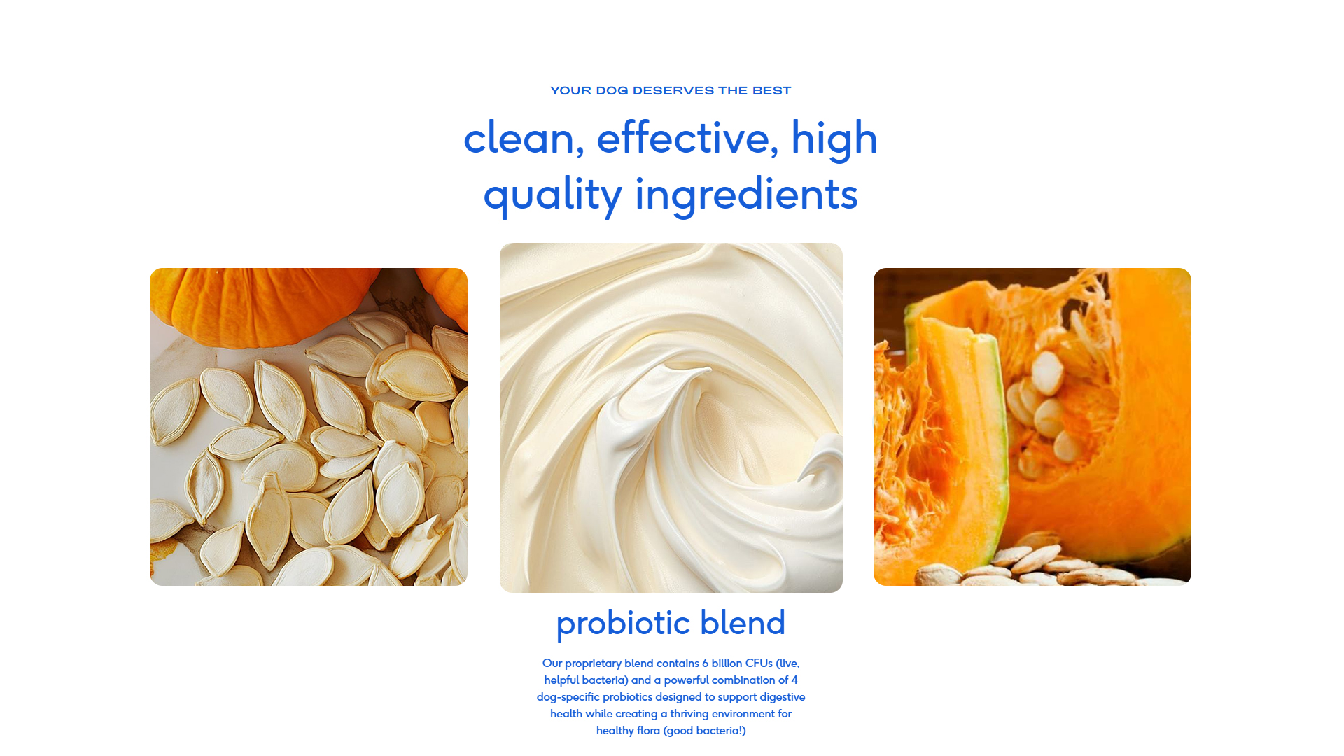 Complete Gut Health Dog Powder detail image 3
