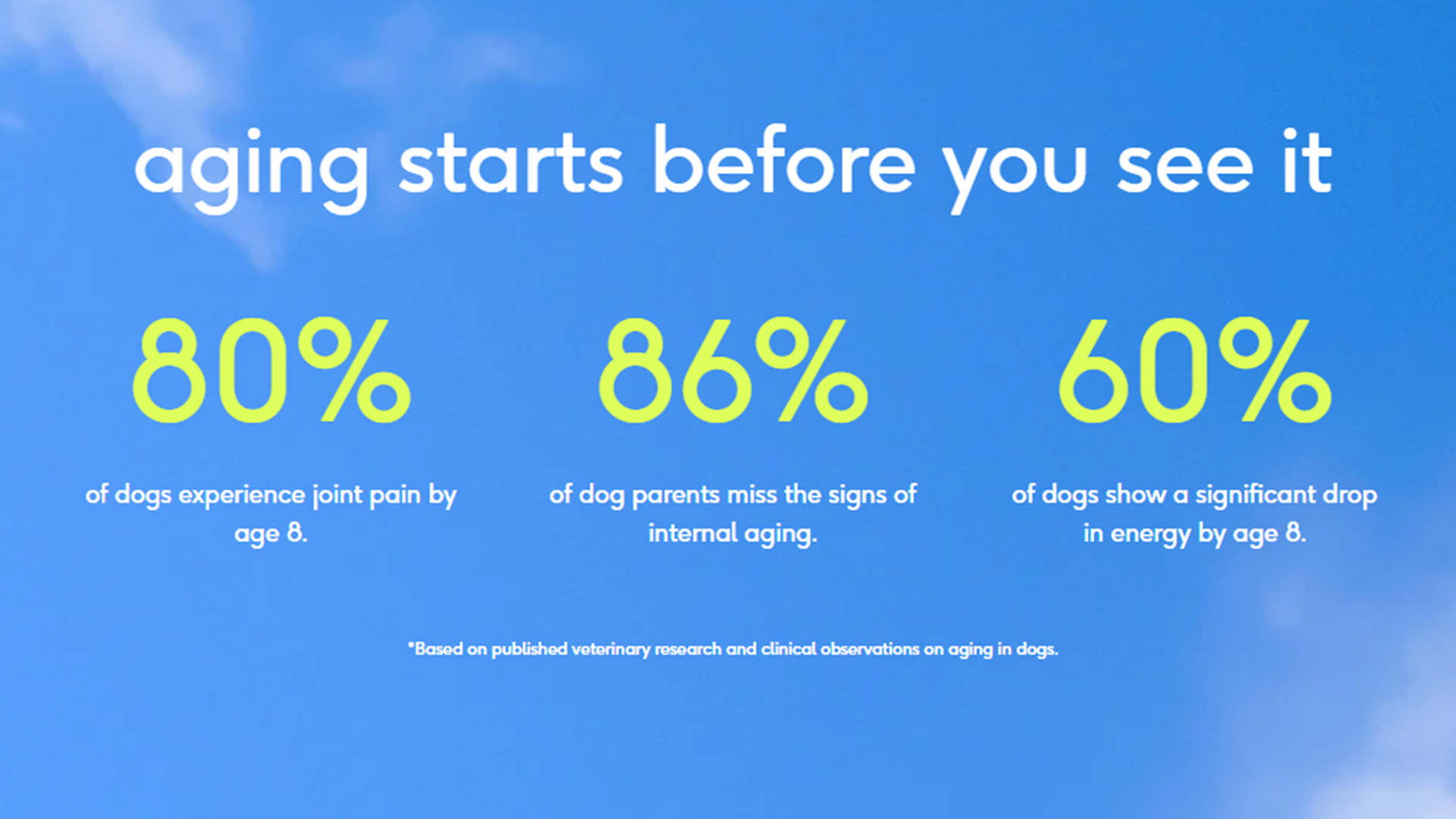 7-in-1 Daily Dog Wellness Powder detail image 2
