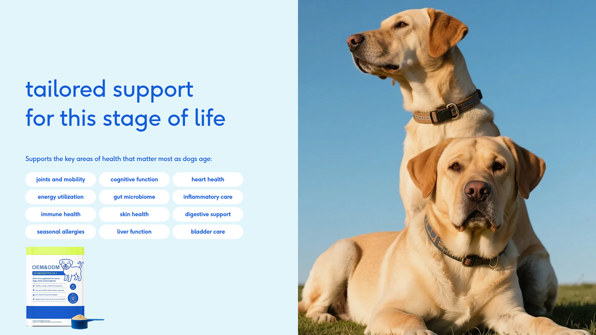 7-in-1 Daily Dog Wellness Powder detail image 3