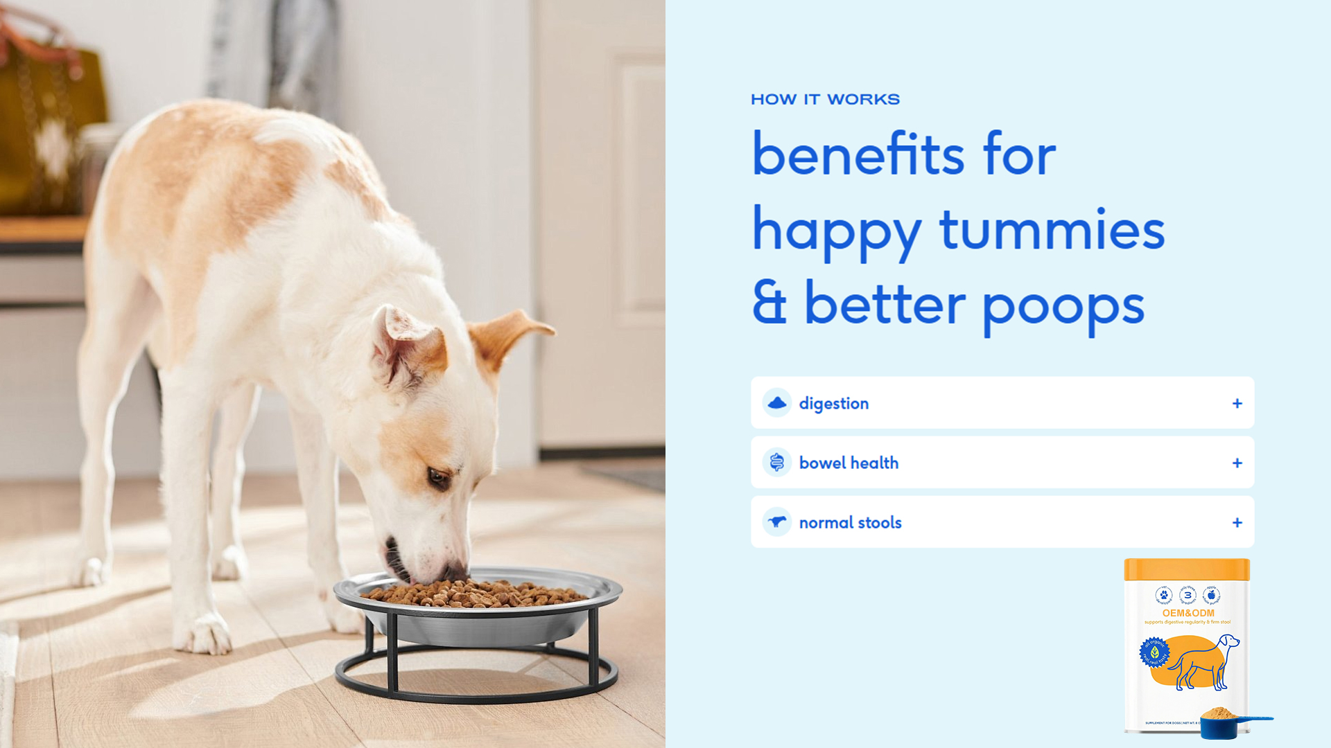 Regularity & Firm Stool Dog Powder product image