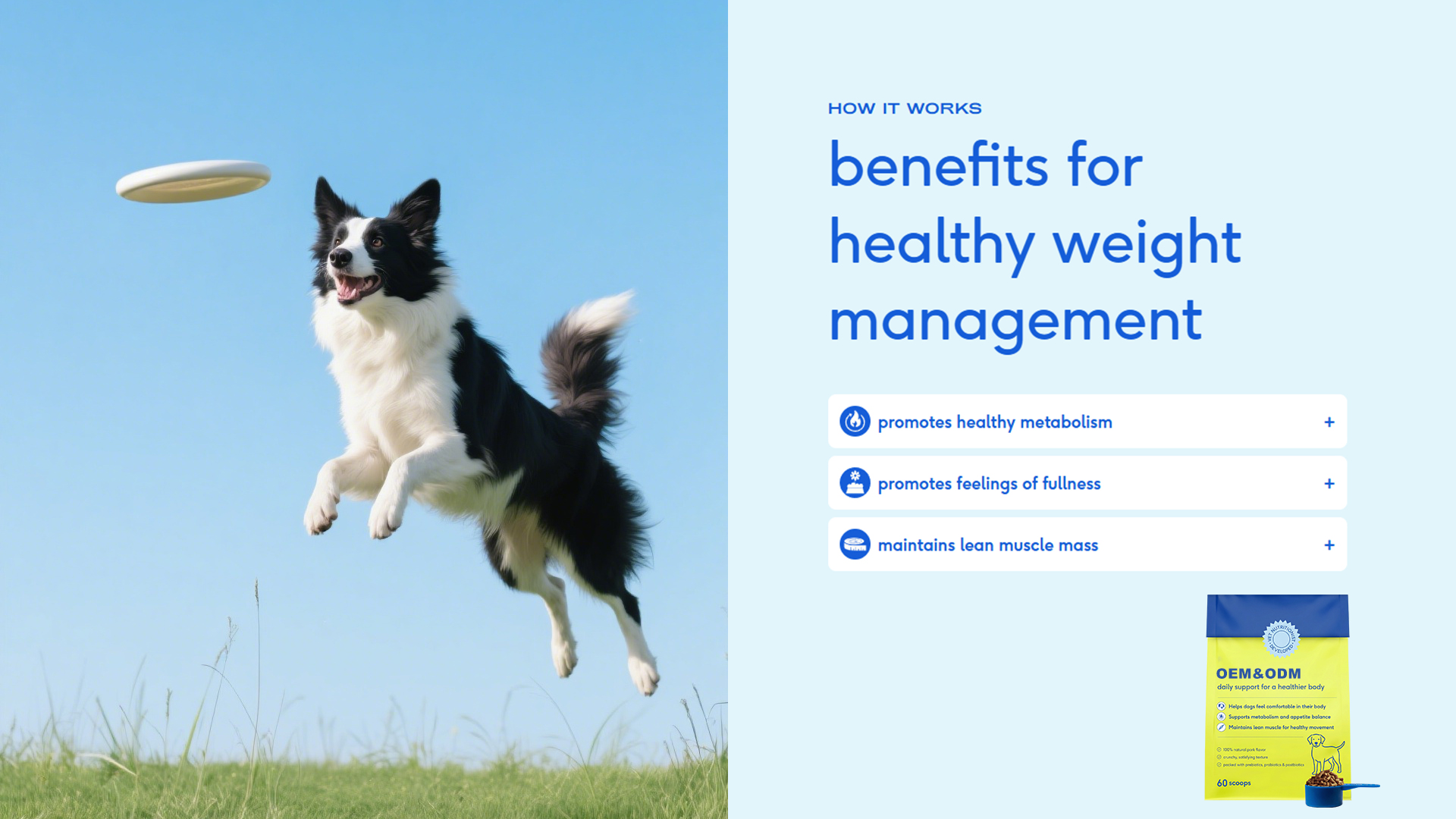 Healthy Body Daily Dog Powder product image