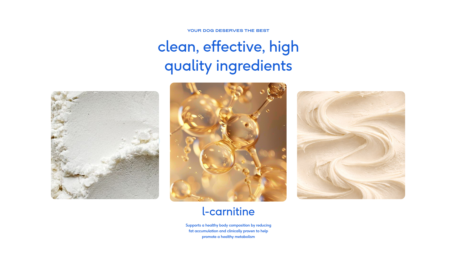 Healthy Body Daily Dog Powder product image