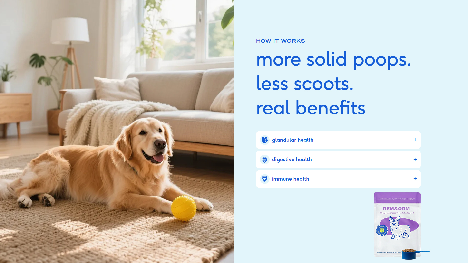 Flax-Powered Giant Dog Support Topper product image
