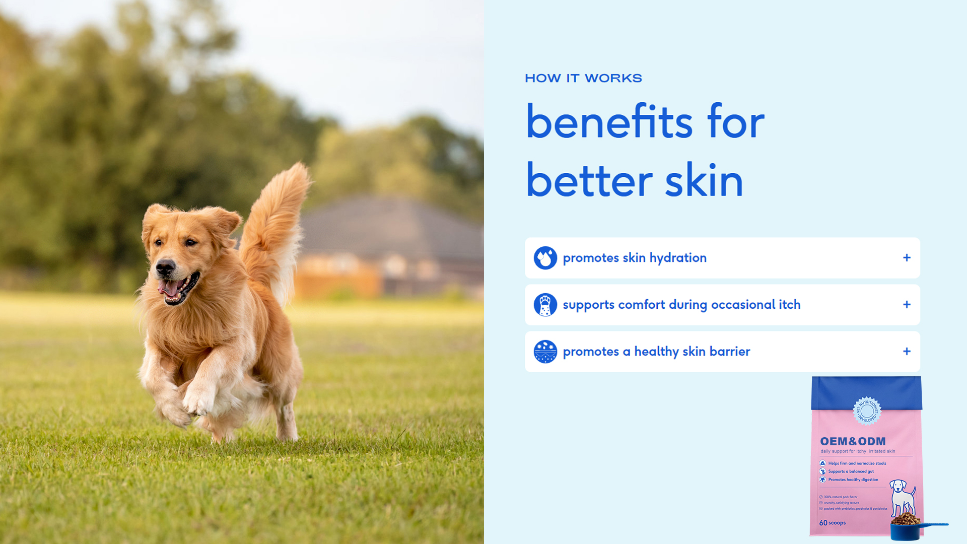 Itchy Skin Dog Daily Support Powder detail image 2