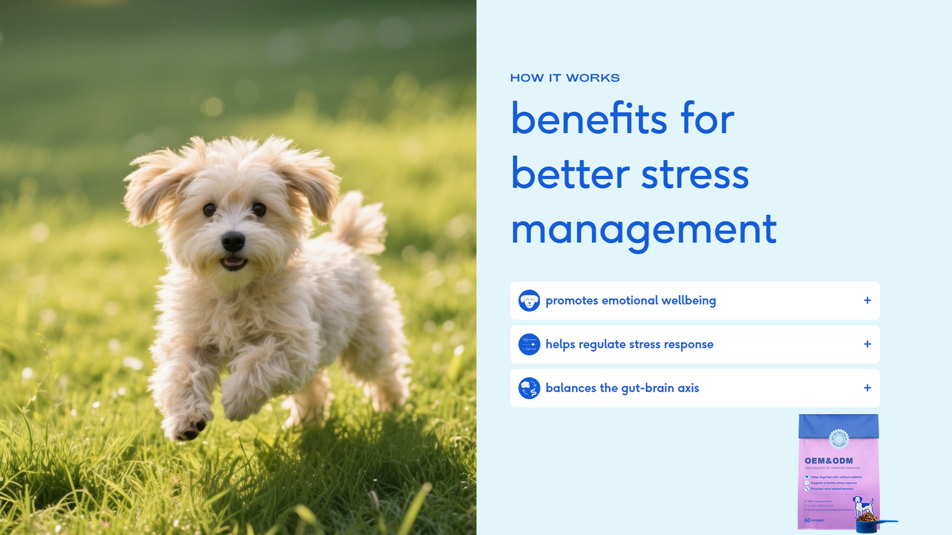 Balanced Behavior Dog Support Powder product image
