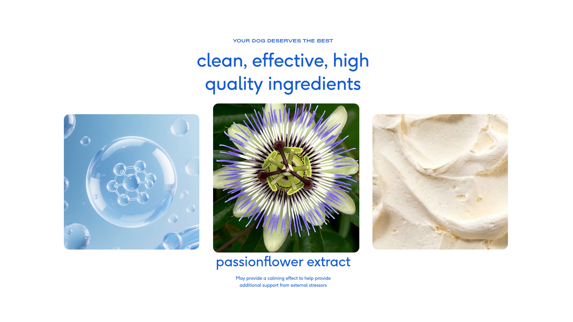 Balanced Behavior Dog Support Powder product image