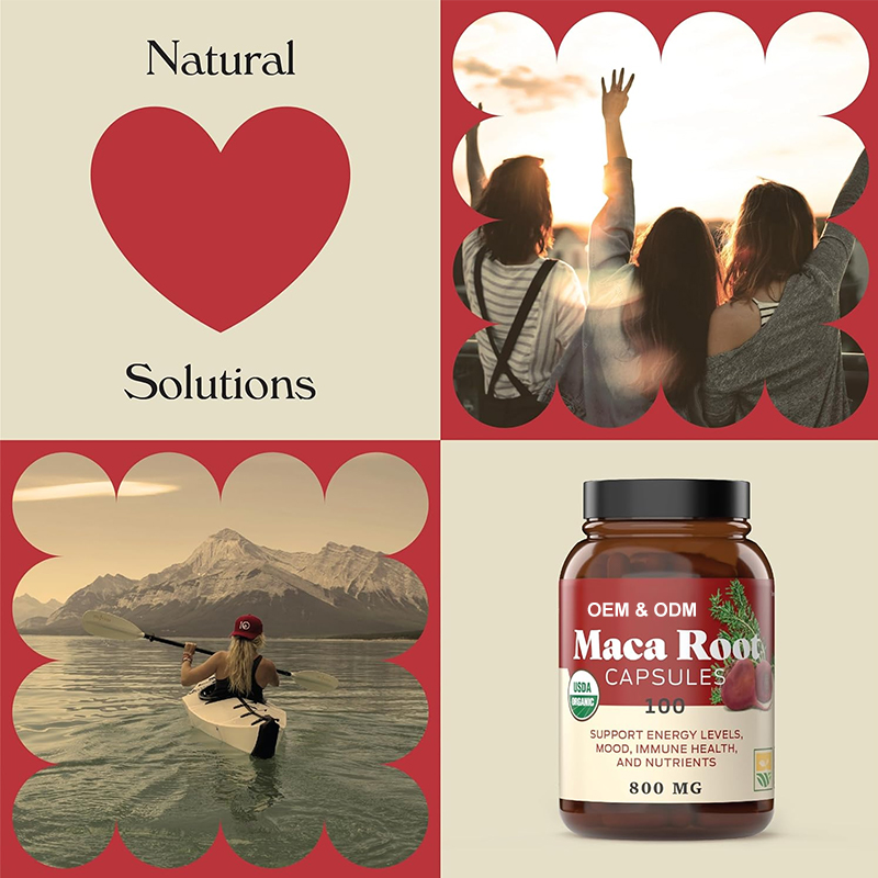 MACA 3 Variant 2 detail image 3