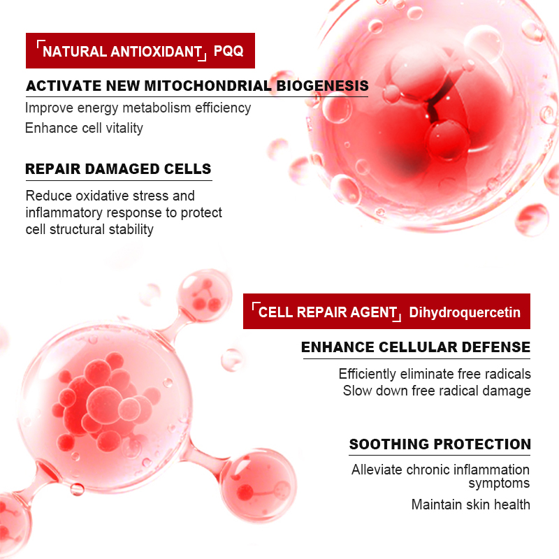 Aronia Berry Supplement Product product image