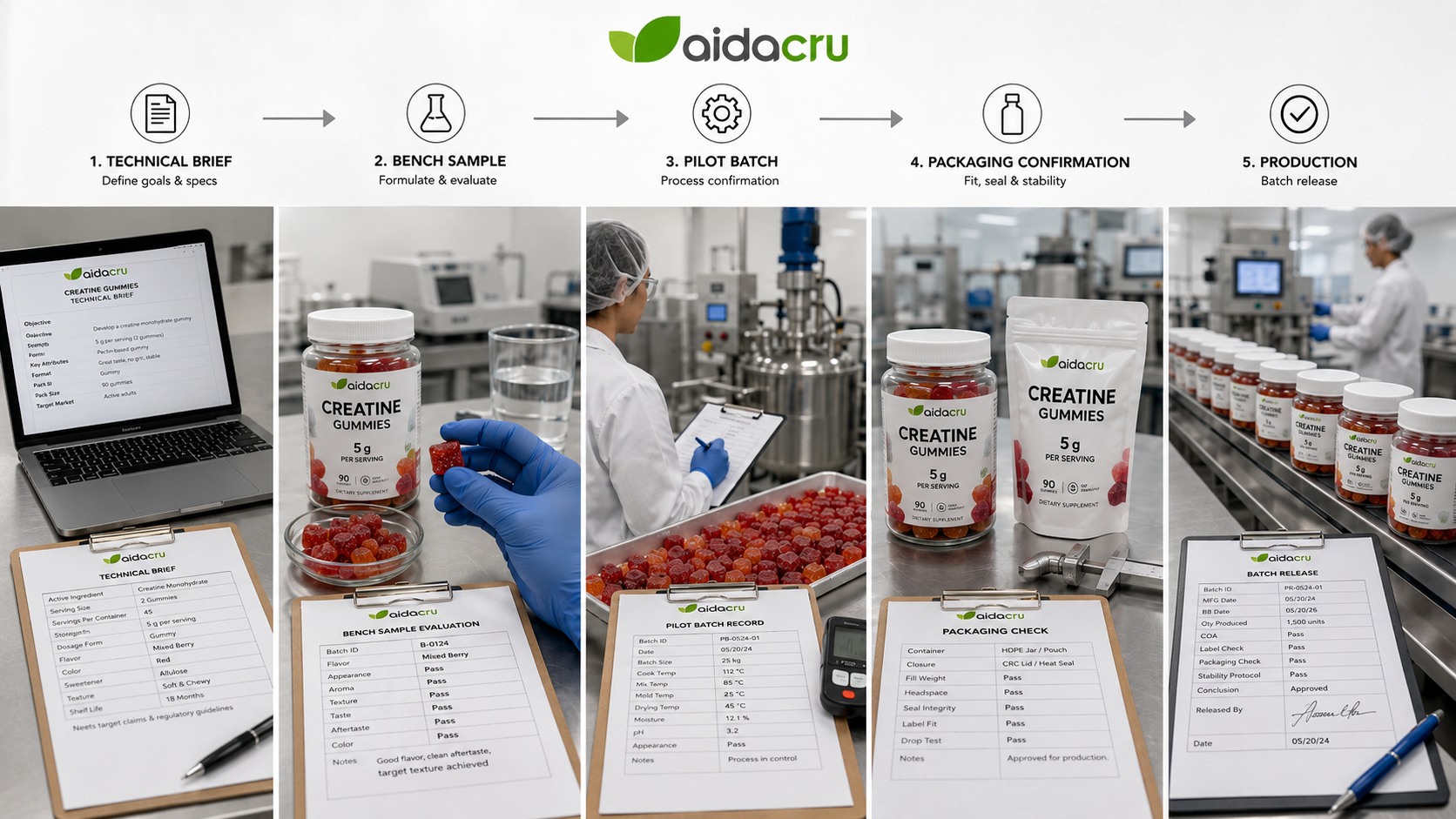 Creatine gummy OEM development workflow from technical brief and bench sample to production release