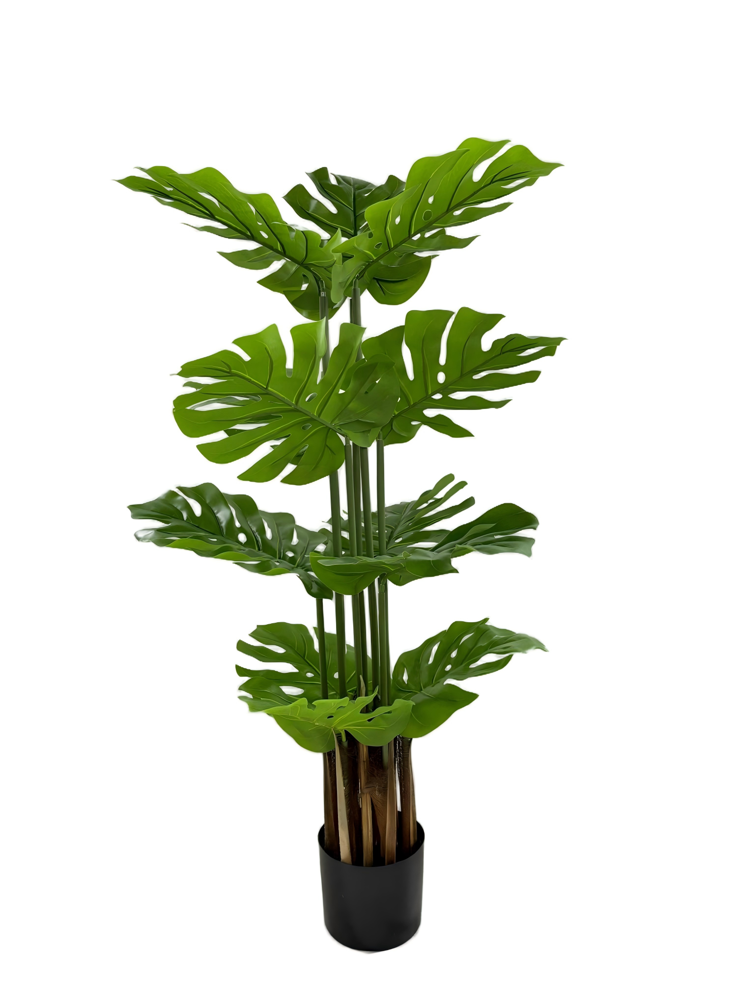 120 см Monstera растение
