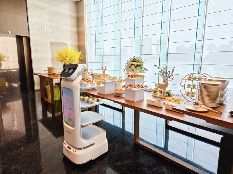 Service robot in a commercial setting