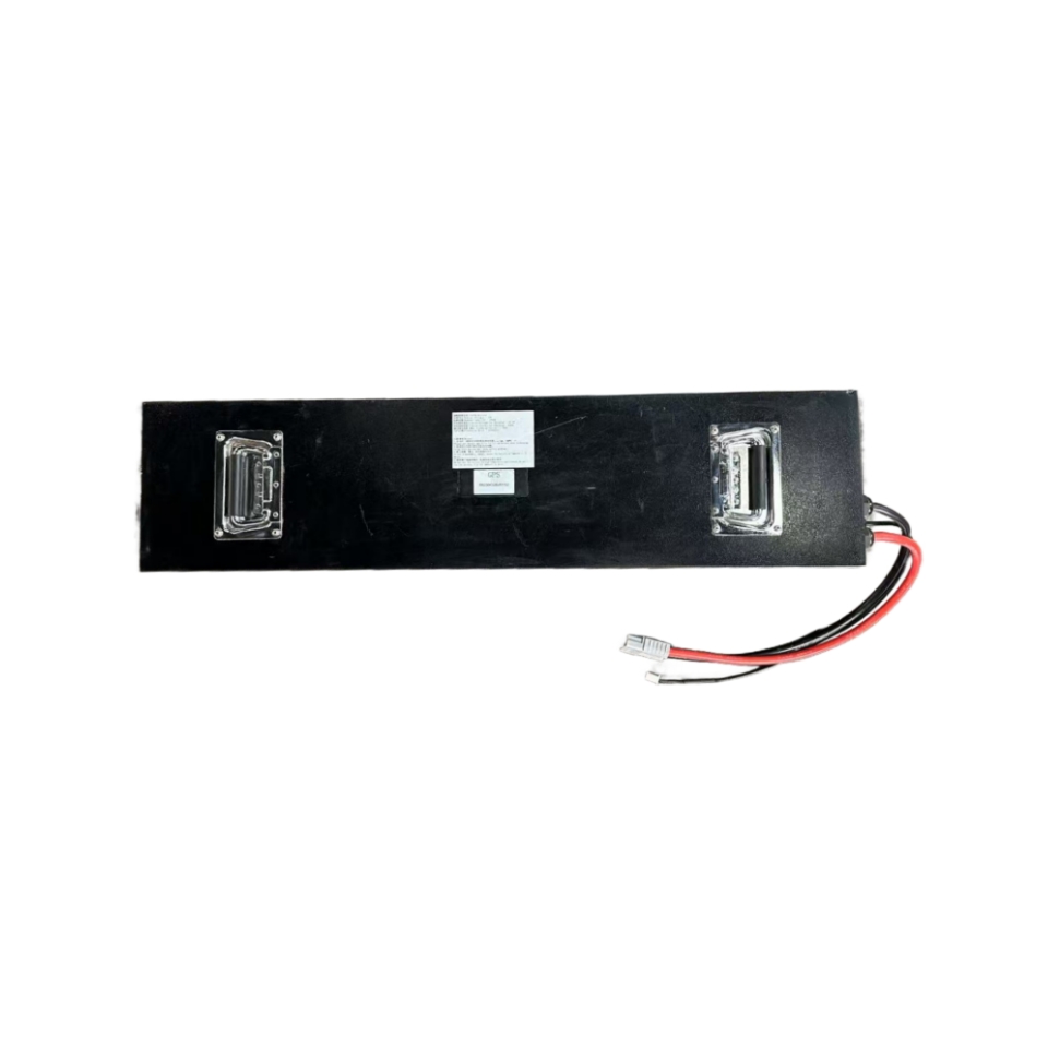 76.8V-100AH Tutktuk Battery