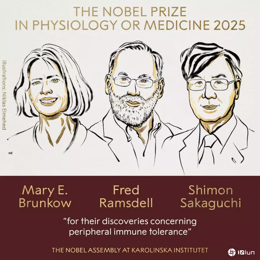 HUIANBIO Highlights 2025 Nobel Prize: Breakthroughs in Immune Tolerance Reshaping Medicine