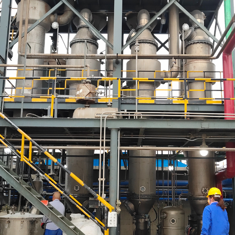 Multi-effect Forced Circulation Evaporator