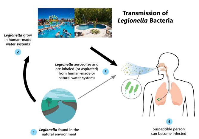 The media often brings up Legionella What is it? How we can prevent it.