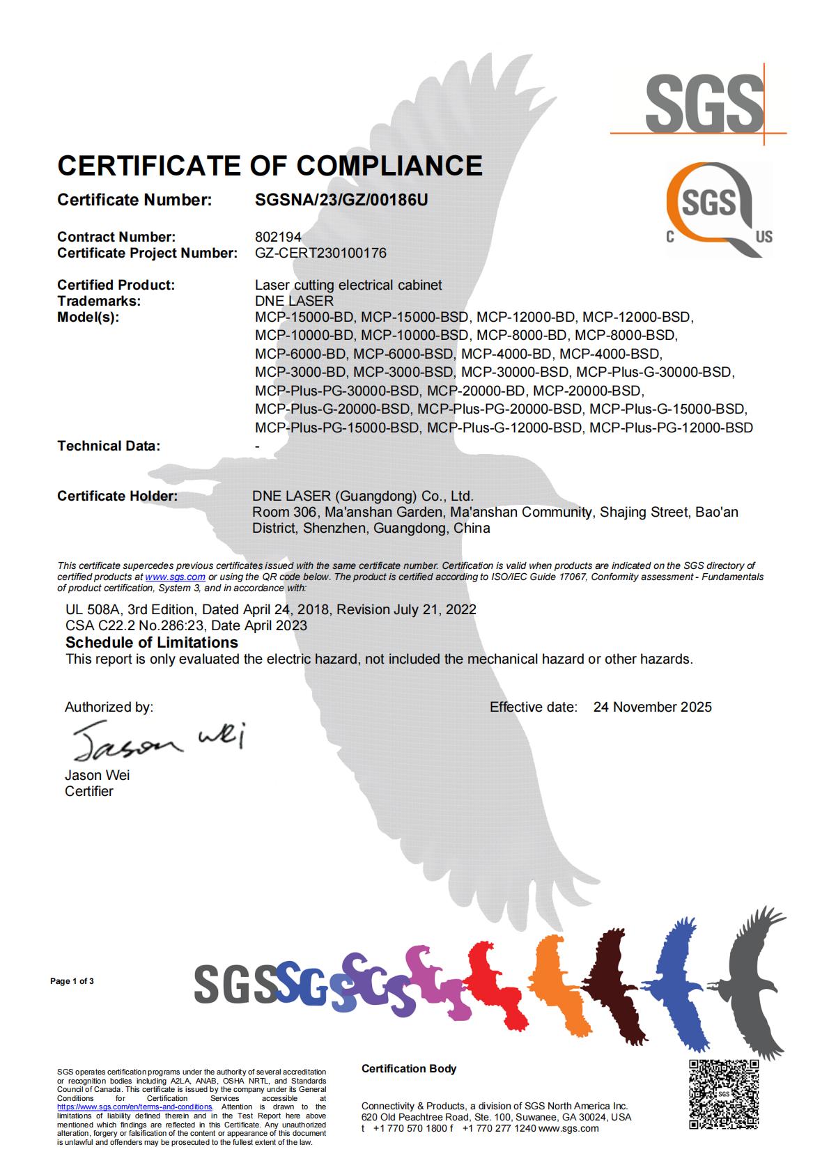 SGS Certificate for DNE Laser