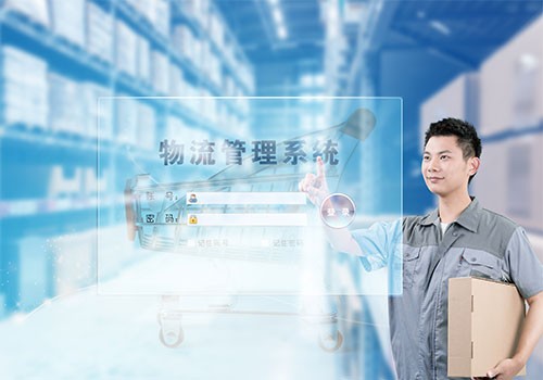 YNPS Customs Declaration and Inspection Agent Service