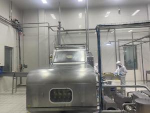 egg beater