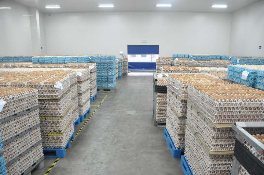 Egg raw material warehouse