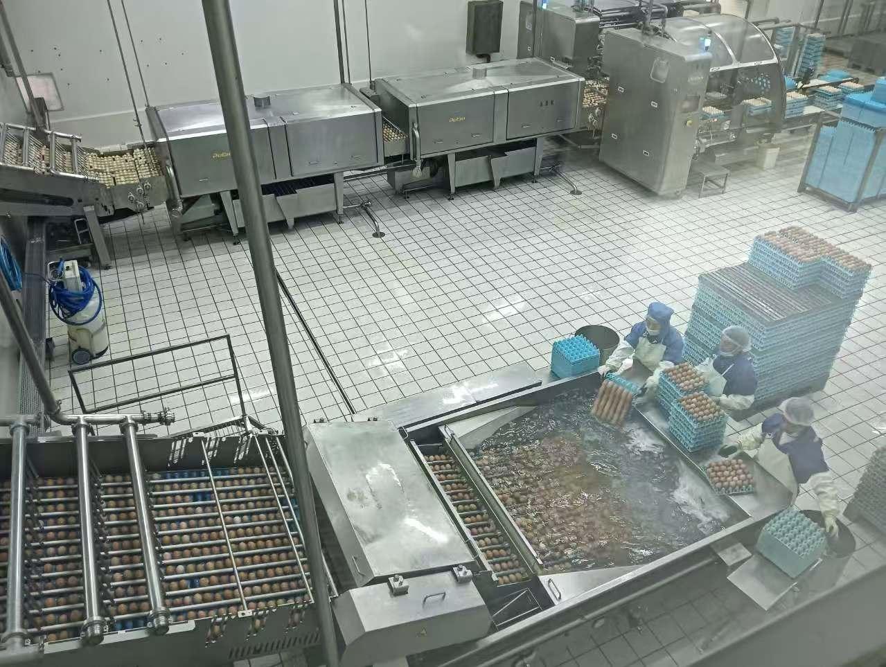 Upper Egg Room and Control Systems