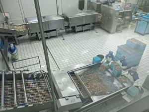 Upper Egg Room