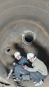 The special inspection institute