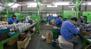 Component assembly production line