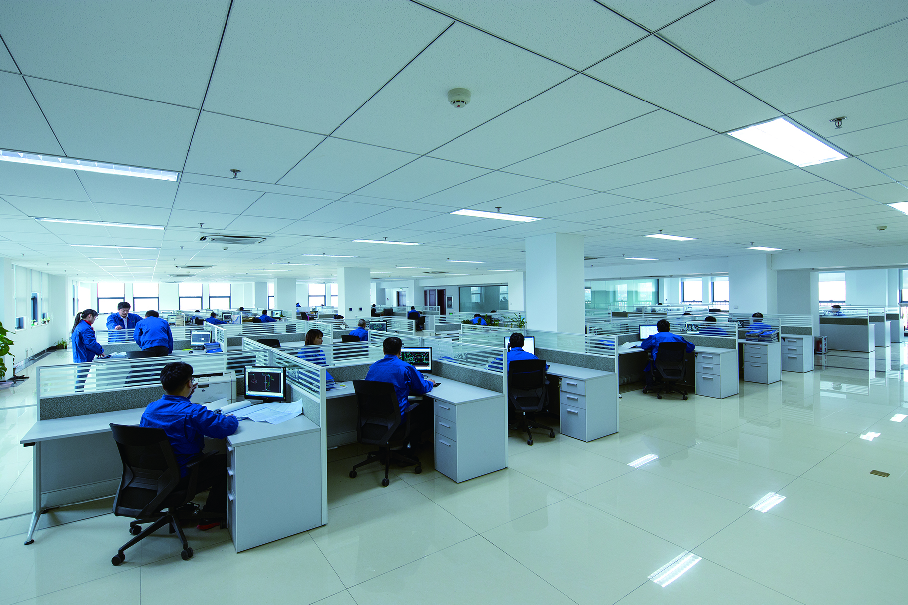 Swan company technical team