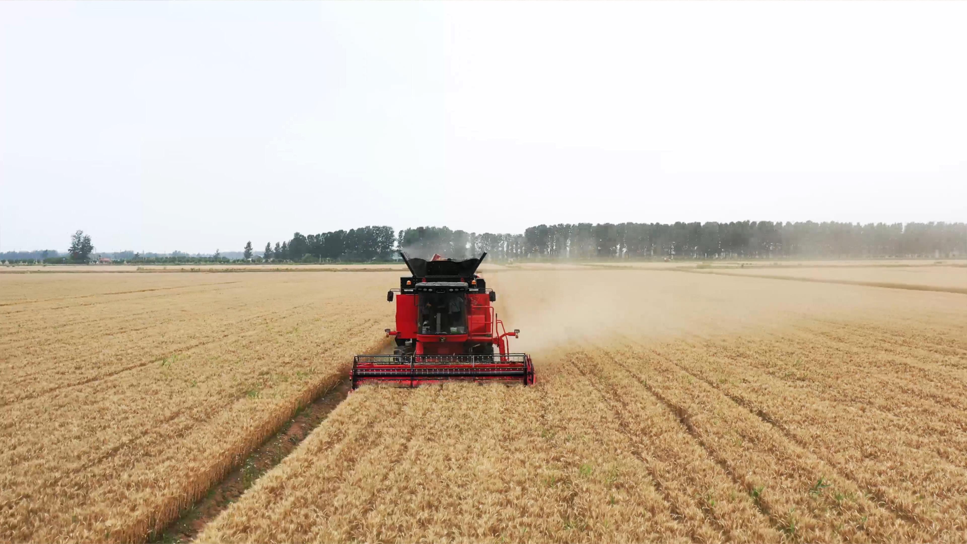 Grain combine harvester used in modern harvesting operations