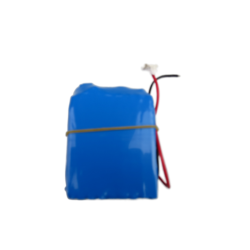 Delivery Robot Battery