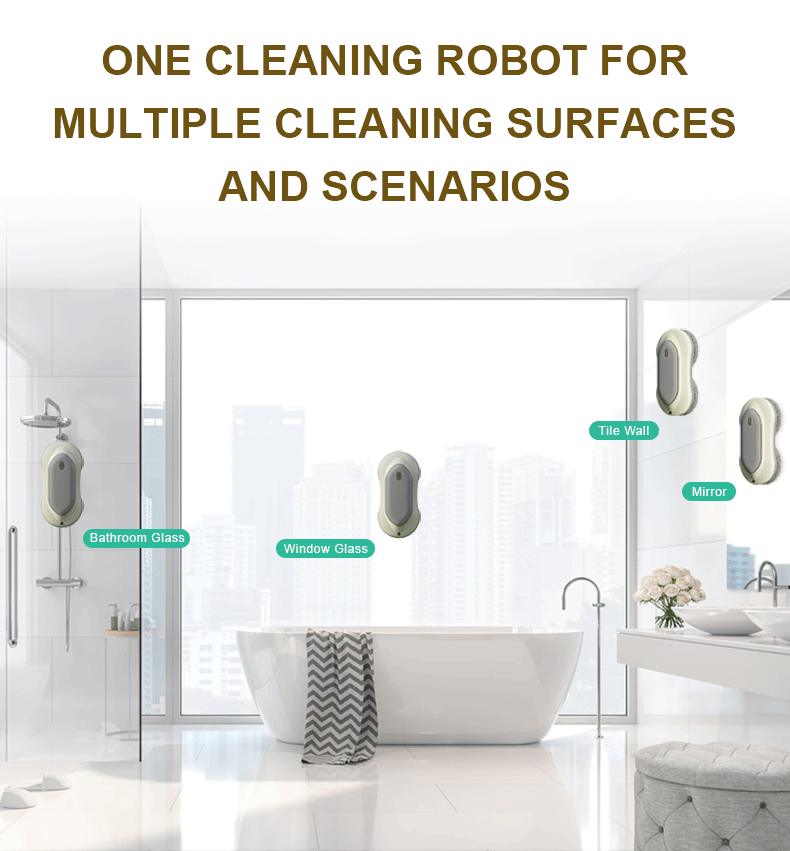 Window Cleaning Robot RN2-03