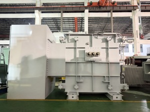 Renewable Energy Developer