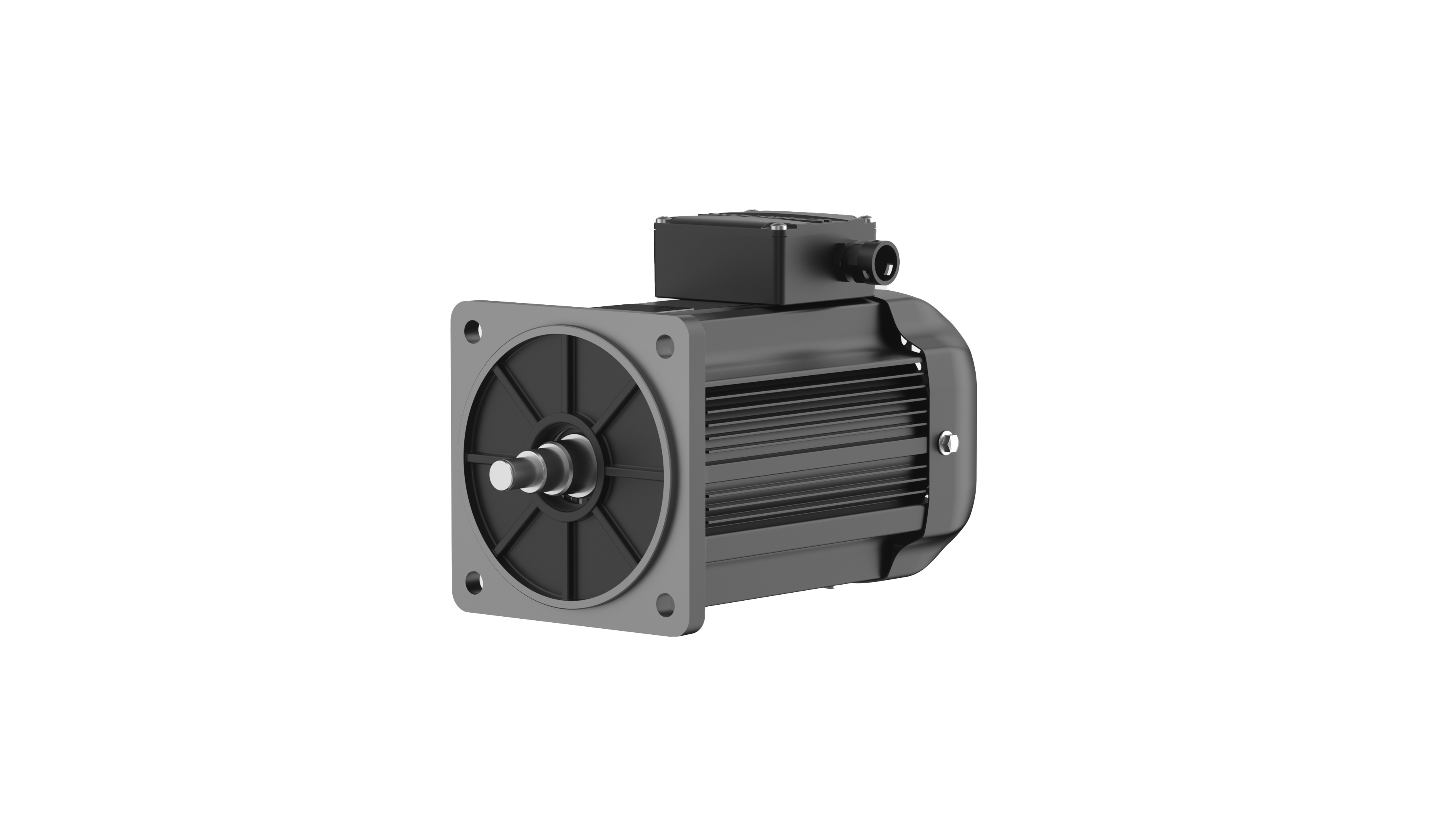 Permanent Magnet Synchronous Motor