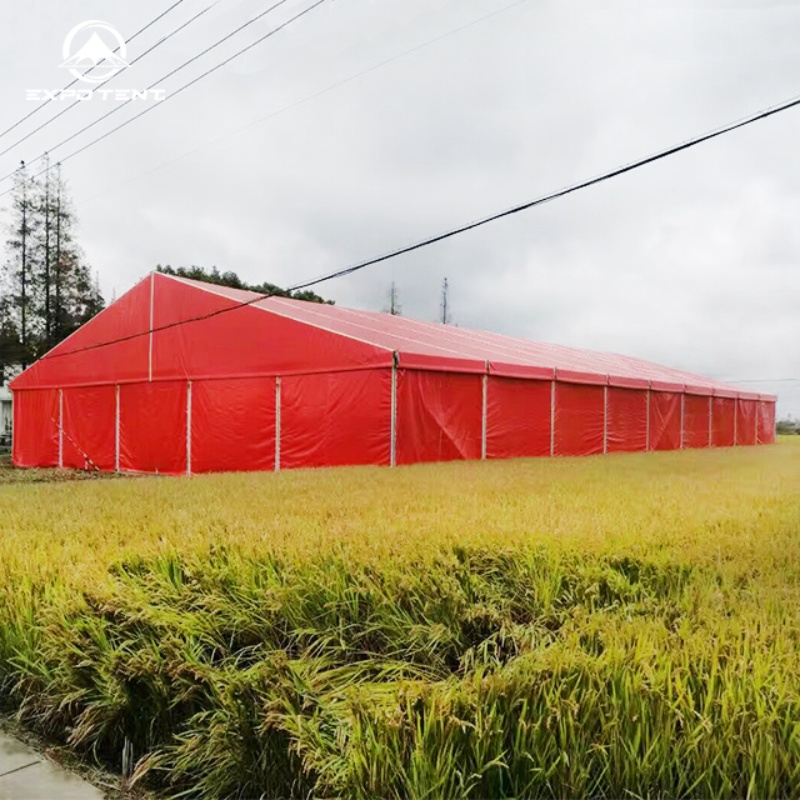 Spacious Event Tent Interior